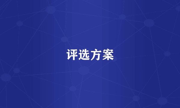 评选方案
