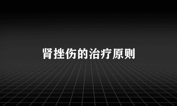 肾挫伤的治疗原则