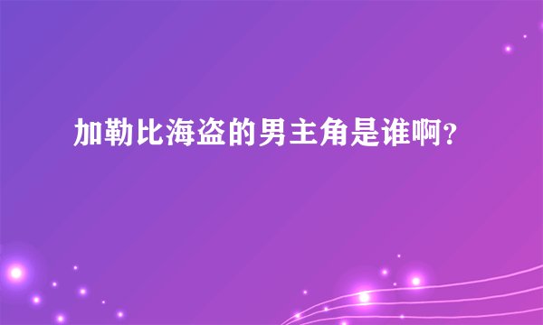加勒比海盗的男主角是谁啊？