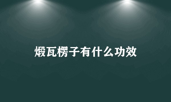煅瓦楞子有什么功效