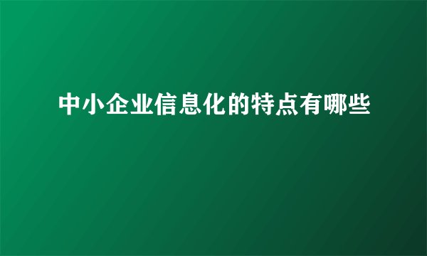 中小企业信息化的特点有哪些