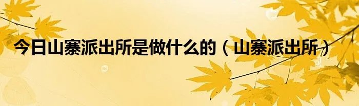 今日山寨派出所是做什么的(山寨派出所)