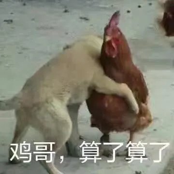 如何看待龙争虎斗加基森后的炉石传说?