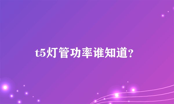 t5灯管功率谁知道？