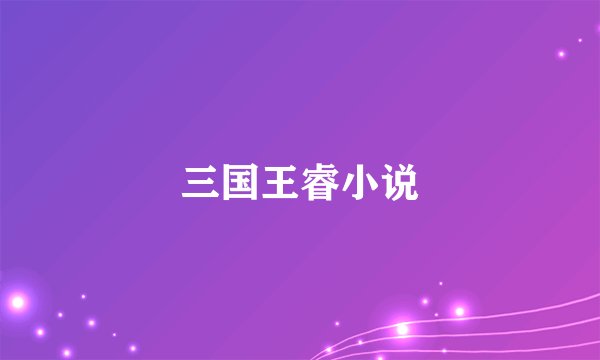 三国王睿小说