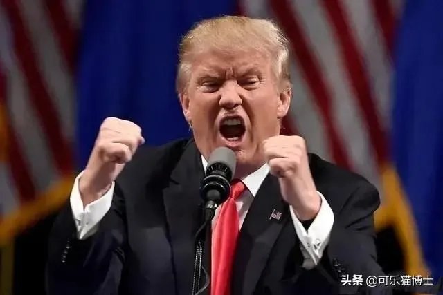 距离大选日11月3日还有3天,美国总统选举有何新动向?