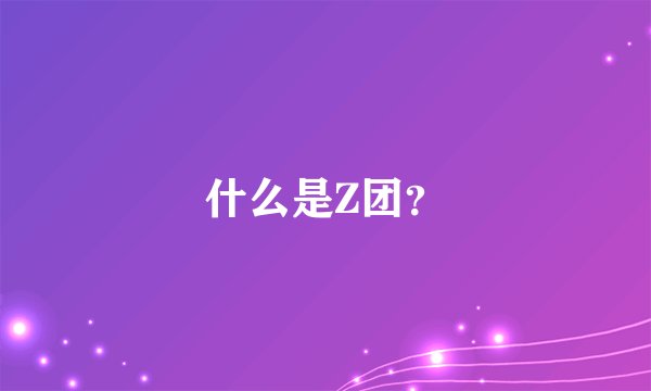 什么是Z团？