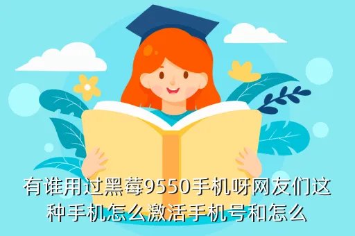 黑莓9550软件,黑莓9550的手机软件经典的有哪些