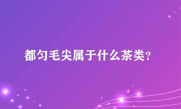 都匀毛尖属于什么茶类？