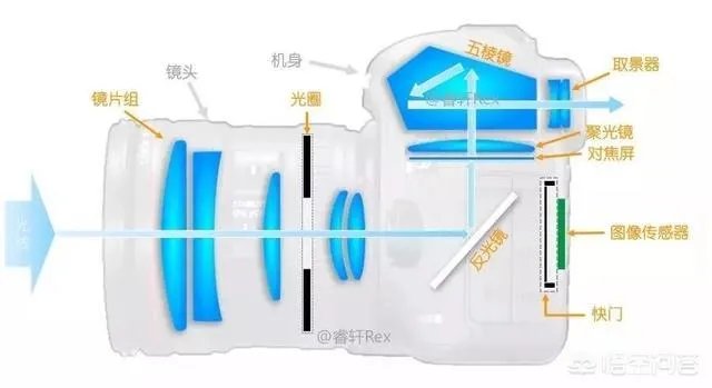 无反，微单，单反有什么区别，如果购买应该买哪种呢？