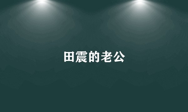 田震的老公
