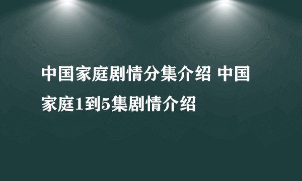 中国家庭剧情分集介绍 中国家庭1到5集剧情介绍