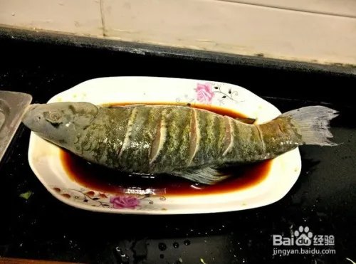 丁桂鱼的做法