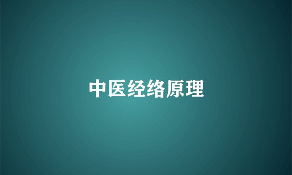 中医经络原理