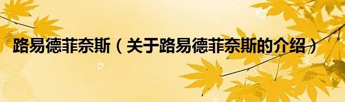 路易德菲奈斯（关于路易德菲奈斯的介绍）