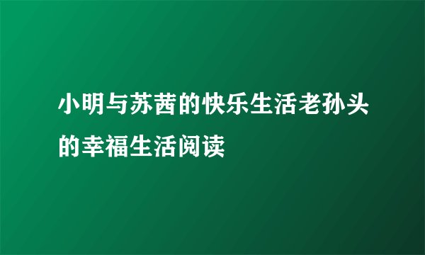 小明与苏茜的快乐生活老孙头的幸福生活阅读