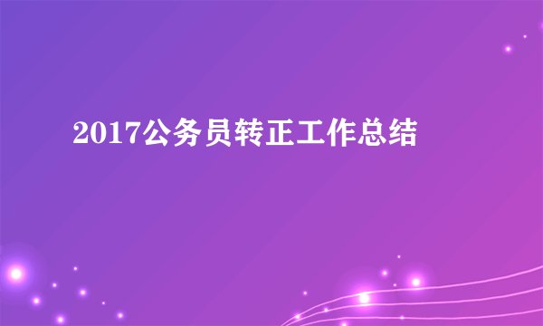2017公务员转正工作总结