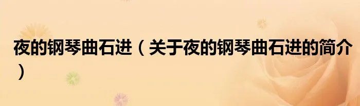 夜的钢琴曲石进（关于夜的钢琴曲石进的简介）
