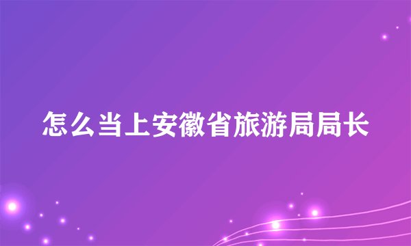 怎么当上安徽省旅游局局长