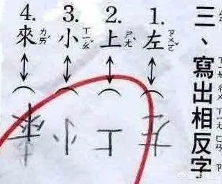 搞笑试卷答案