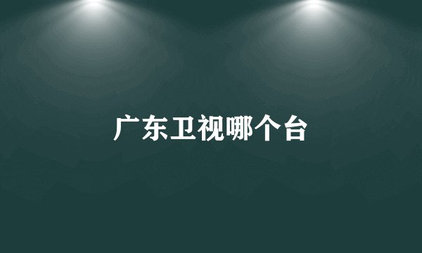 广东卫视哪个台
