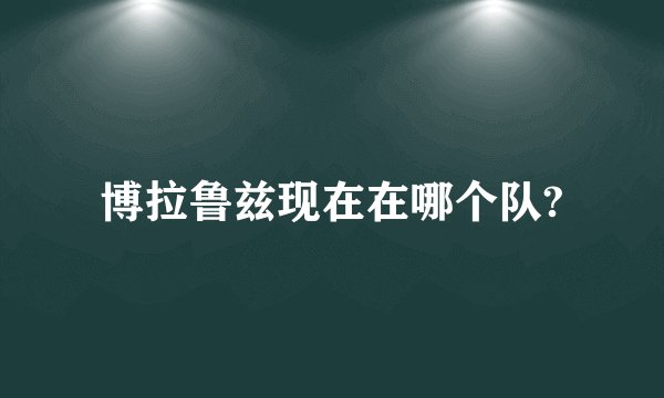 博拉鲁兹现在在哪个队?