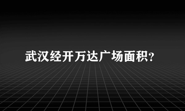 武汉经开万达广场面积？