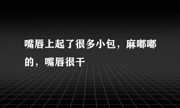 嘴唇上起了很多小包，麻嘟嘟的，嘴唇很干