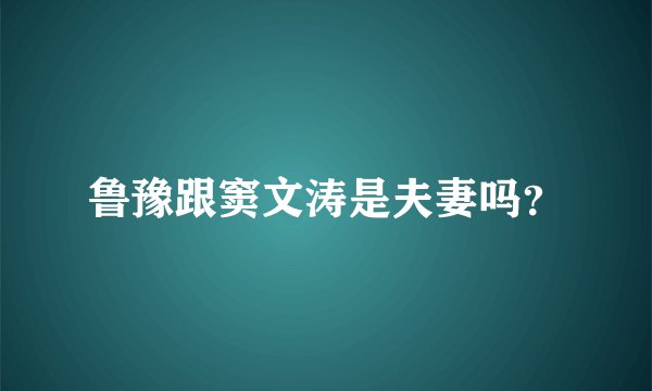 鲁豫跟窦文涛是夫妻吗？