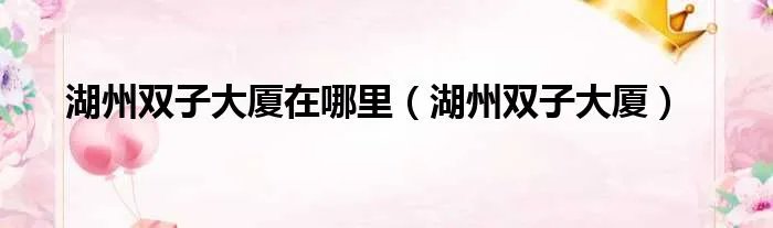 湖州双子大厦在哪里（湖州双子大厦）