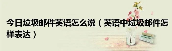 今日垃圾邮件英语怎么说（英语中垃圾邮件怎样表达）