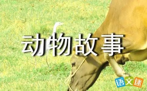 我与动物的故事