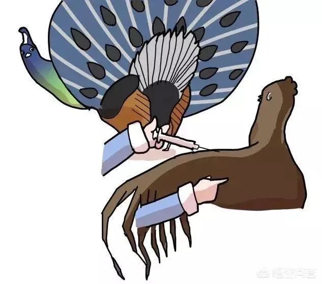 孩子害怕打针,家长如何帮助孩子克服恐惧心理?