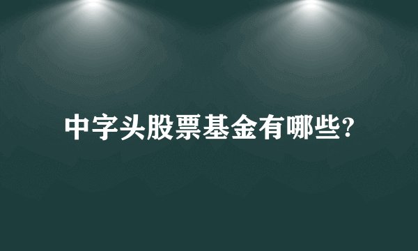 中字头股票基金有哪些?