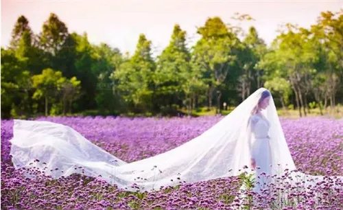 北京婚纱照哪里拍好 北京7个婚纱外景地推荐