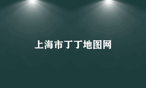 上海市丁丁地图网