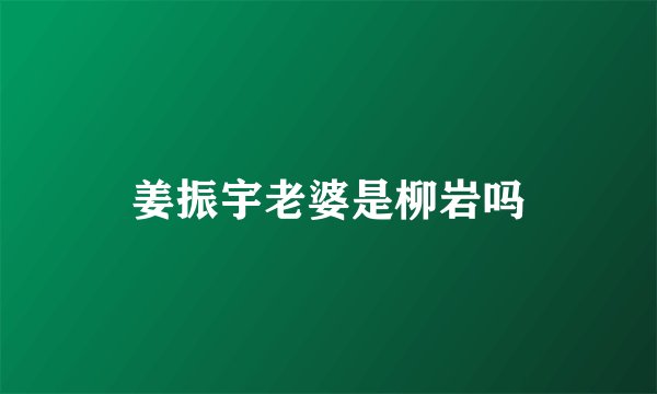 姜振宇老婆是柳岩吗