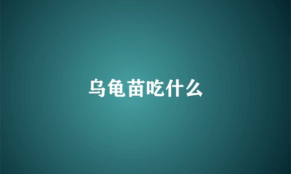乌龟苗吃什么