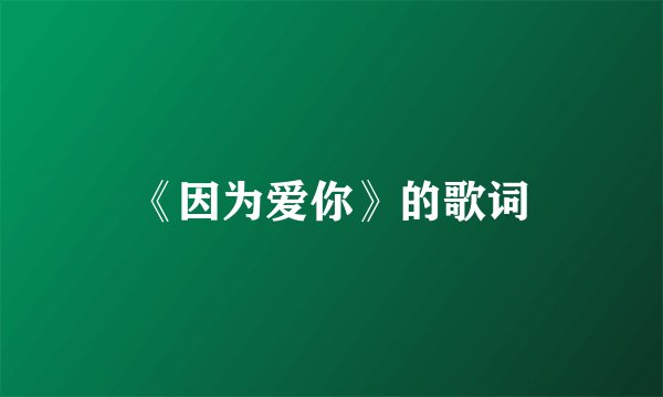《因为爱你》的歌词