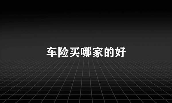 车险买哪家的好