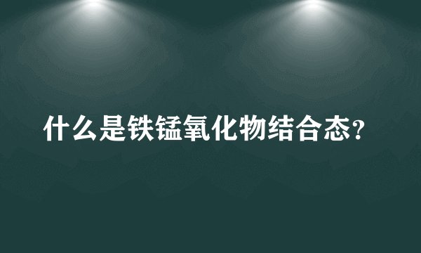 什么是铁锰氧化物结合态？