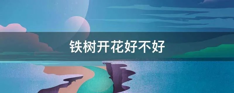 铁树开花好不好