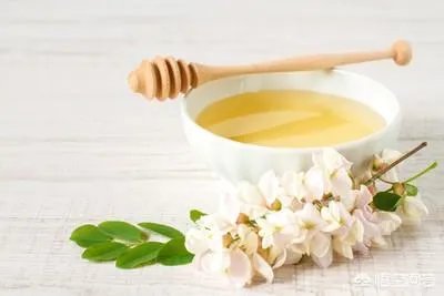 刺槐树有什么作用？