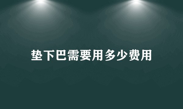 垫下巴需要用多少费用