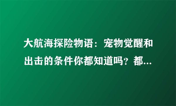 大航海探险物语：宠物觉醒和出击的条件你都知道吗？都在这里啦！