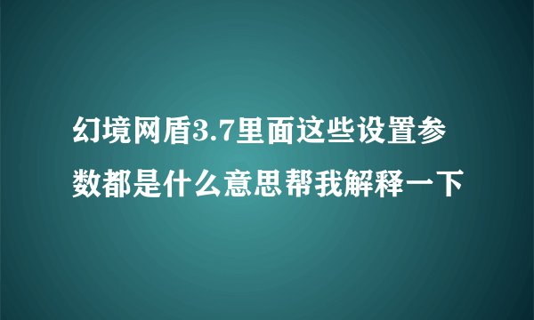 幻境网盾3.7里面这些设置参数都是什么意思帮我解释一下