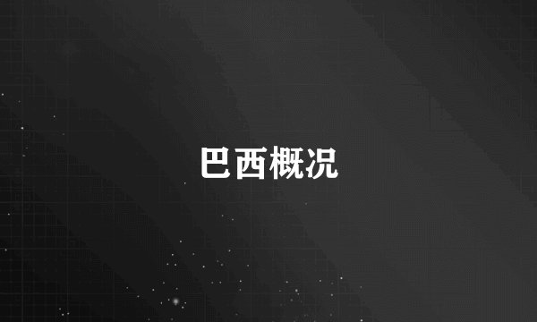 巴西概况