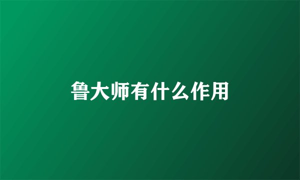 鲁大师有什么作用