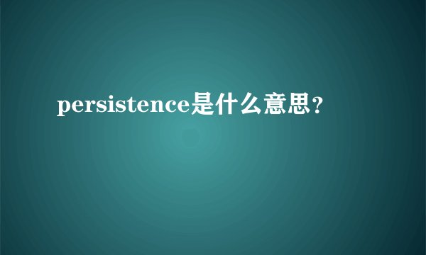 persistence是什么意思？