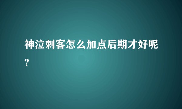 神泣刺客怎么加点后期才好呢?